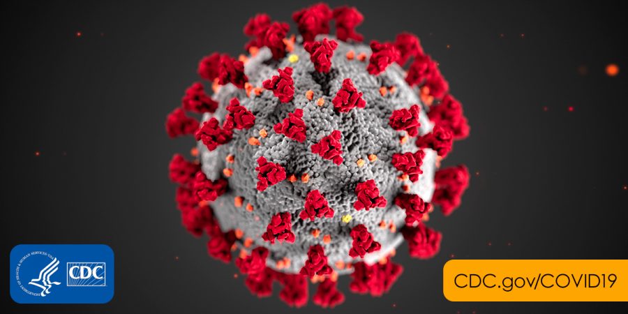 Coronavirus+Facts