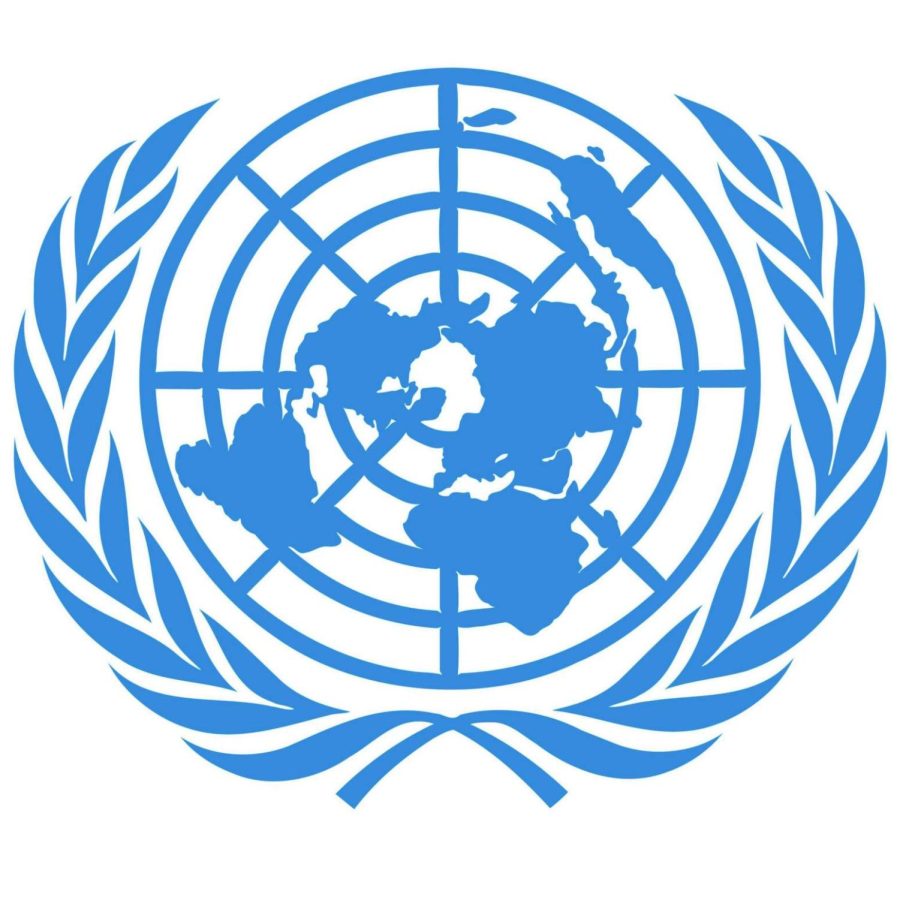 What is Model United Nations