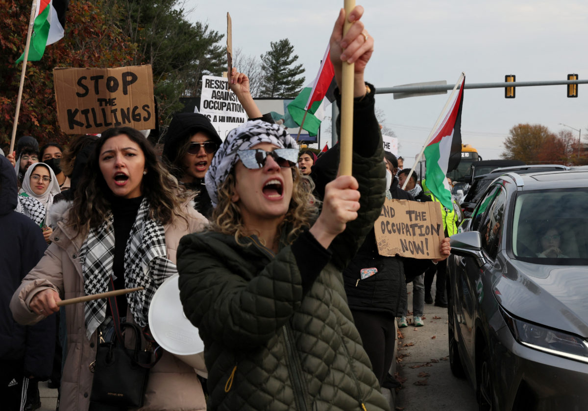People take part in Shut it down for Palestine! protest outside of Tysons Corner as shoppers participate in Black Friday in Vienna, Virginia, U.S., November 24, 2023. REUTERS/Leah Millis