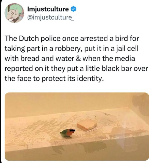 Weird Facts